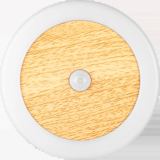 Smart Motion Sensor Light