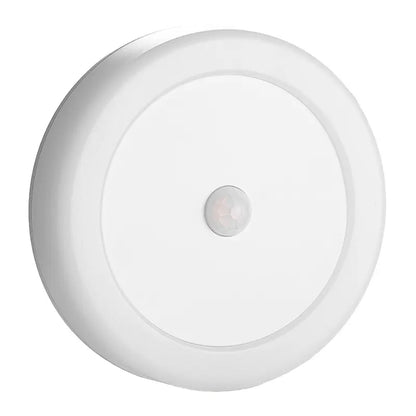 Smart Motion Sensor Light